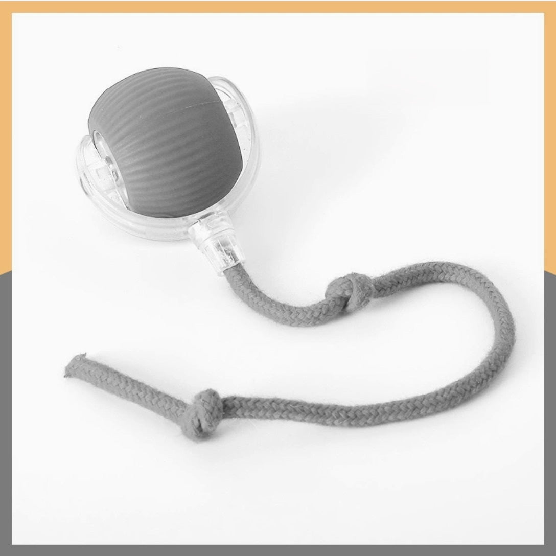 PetMotion™ - Bewegung, die begeistert