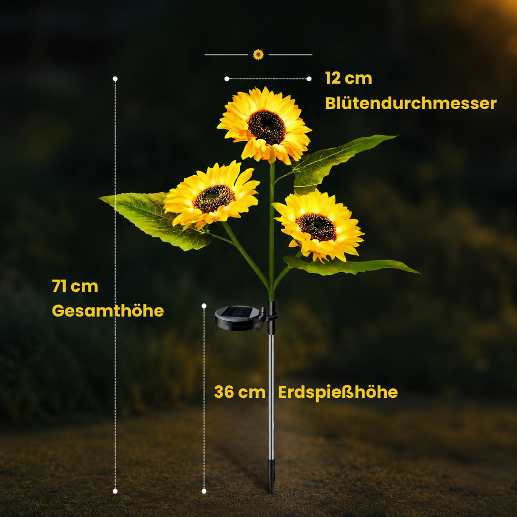 AbendSonne™ – Warmes Licht für lange Sommerabende