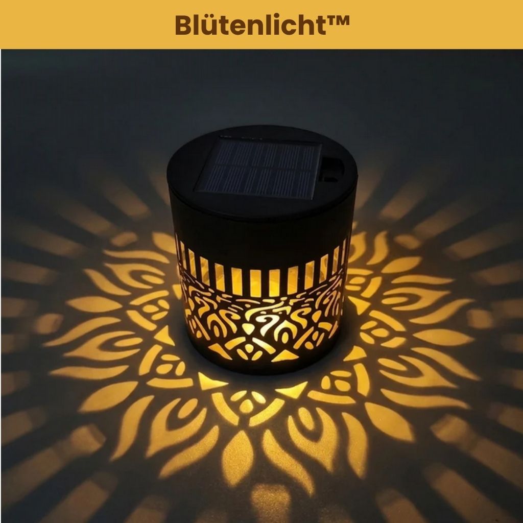 Blütenlicht™ - Verwandelt deinen Garten in florale Magie
