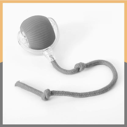 PetMotion™ - Bewegung, die begeistert