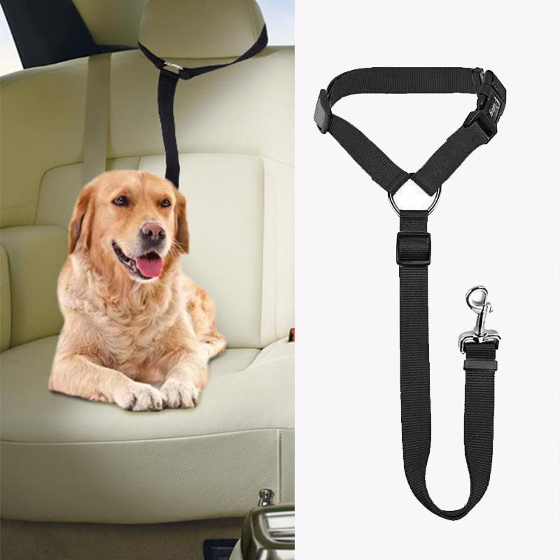 DogRide™ - Sicherheitsleine für ruhige Fahrten und entspannte Spaziergänge