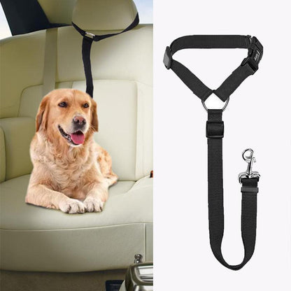 DogRide™ - Sicherheitsleine für ruhige Fahrten und entspannte Spaziergänge