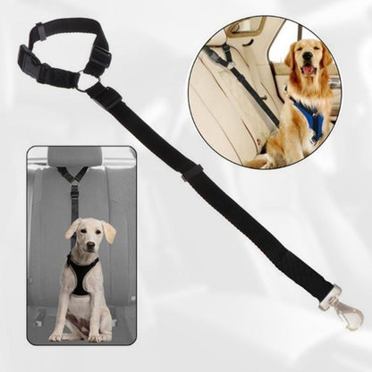 DogRide™ - Sicherheitsleine für ruhige Fahrten und entspannte Spaziergänge