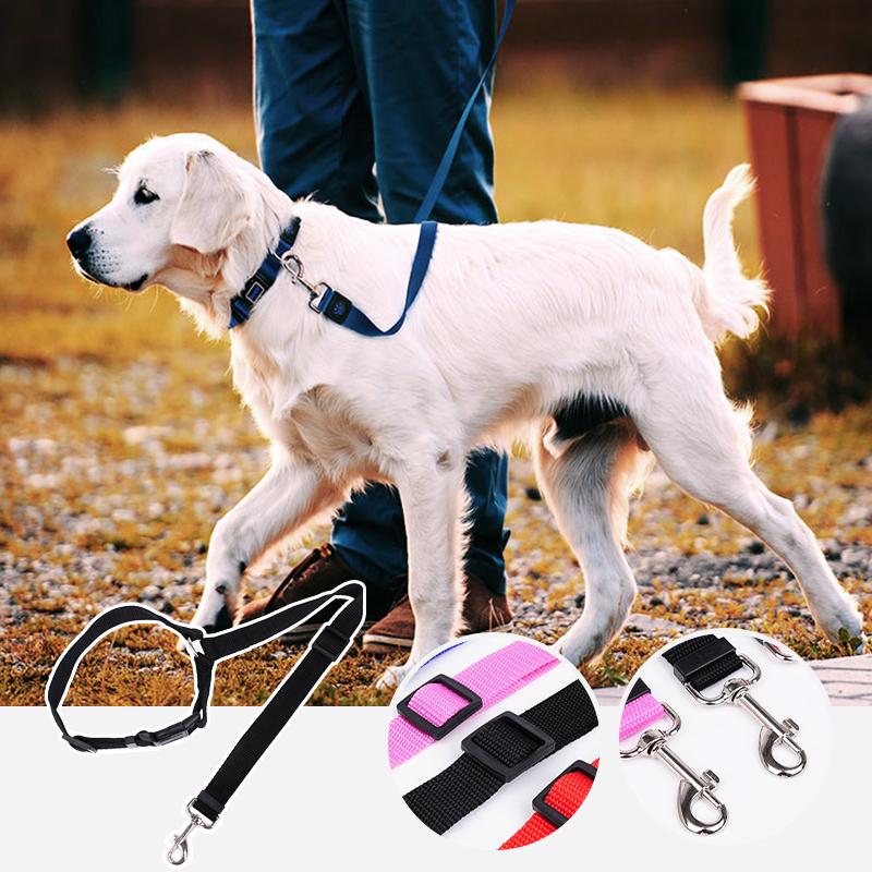 DogRide™ - Sicherheitsleine für ruhige Fahrten und entspannte Spaziergänge