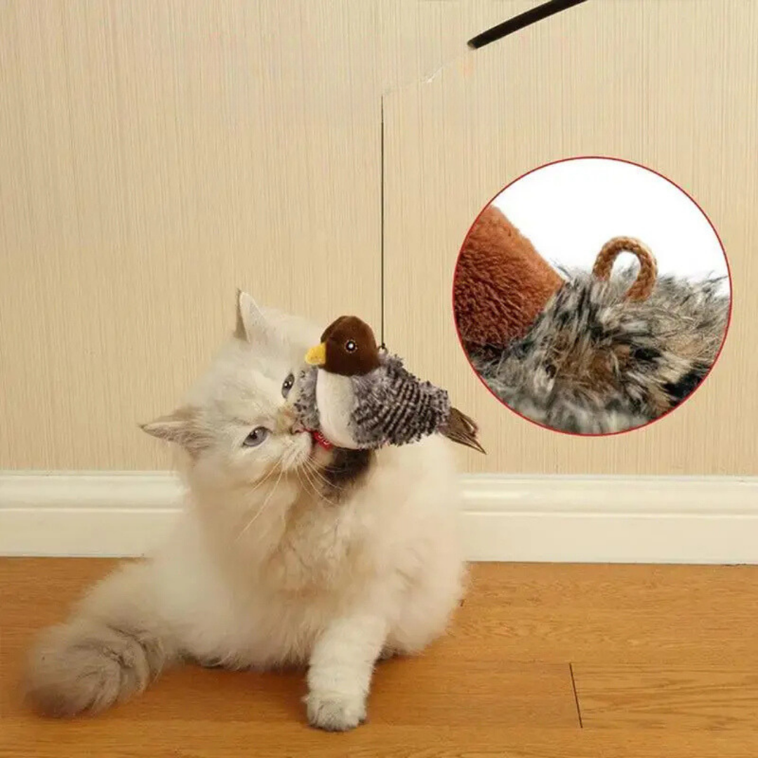 KatzenBeute™ - Für den natürlichen Spieltrieb deiner Katze