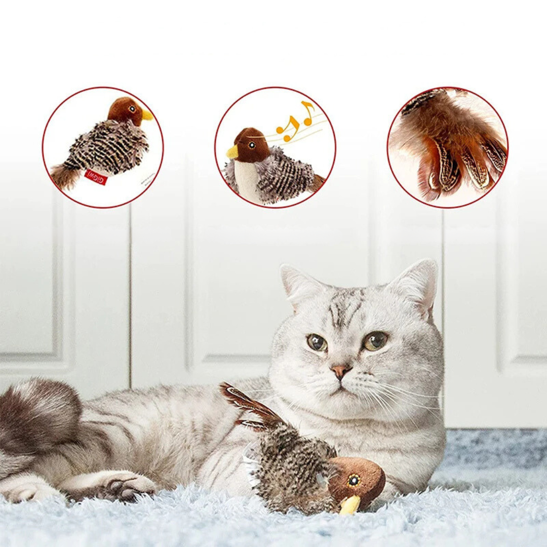 KatzenBeute™ - Für den natürlichen Spieltrieb deiner Katze