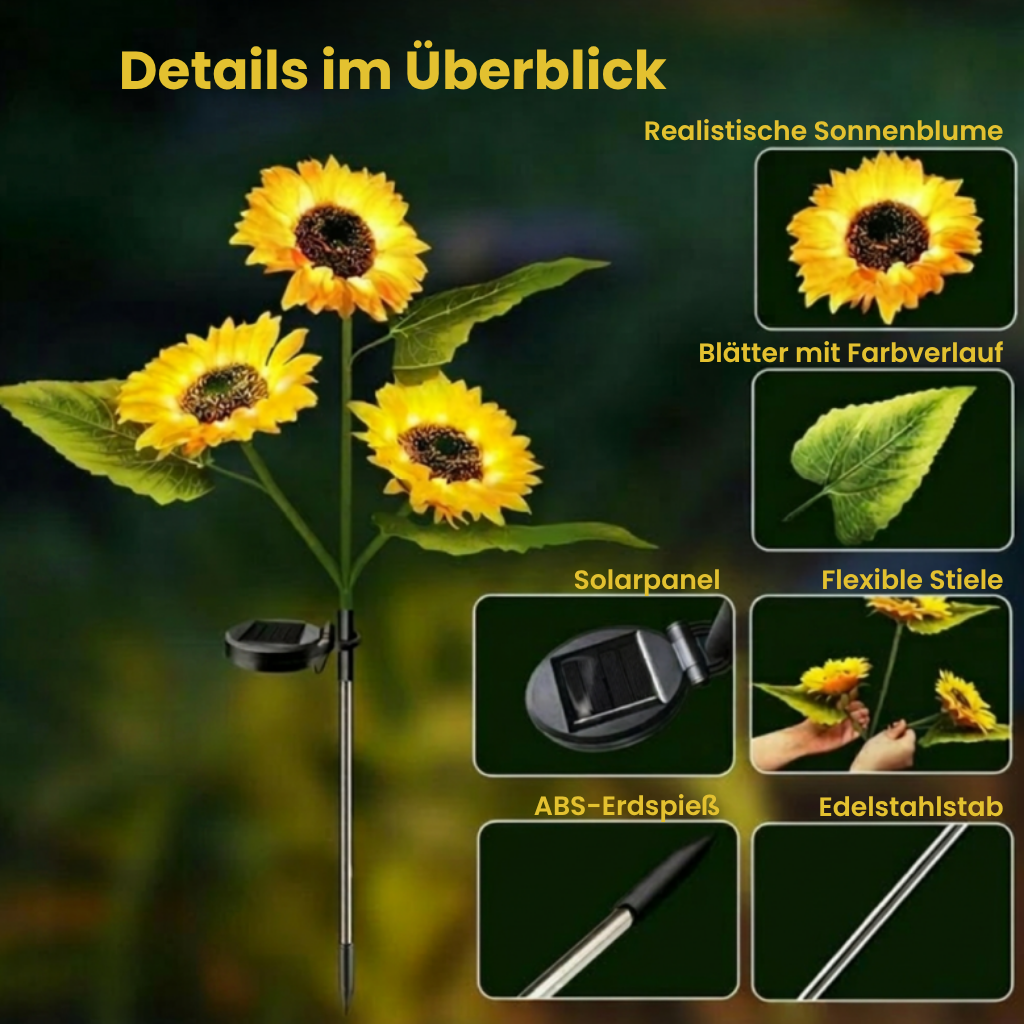 AbendSonne™ – Warmes Licht für lange Sommerabende