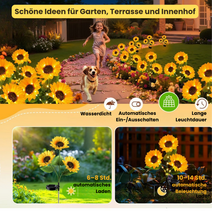 AbendSonne™ – Warmes Licht für lange Sommerabende