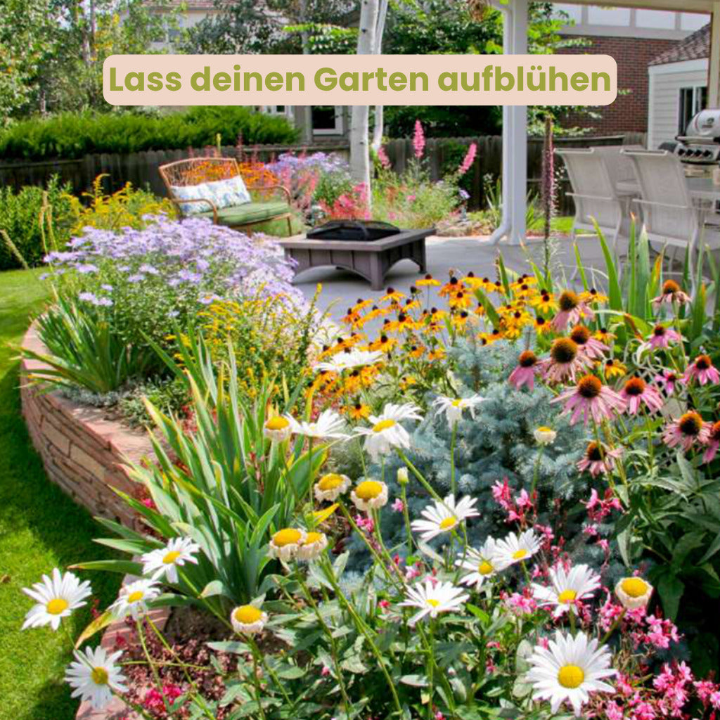 BlütenZauber™ – Samen für deinen Traumgarten