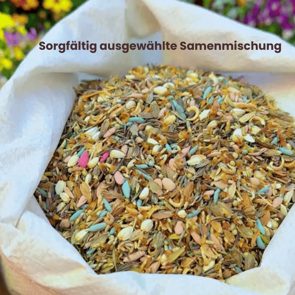 BlütenZauber™ – Samen für deinen Traumgarten