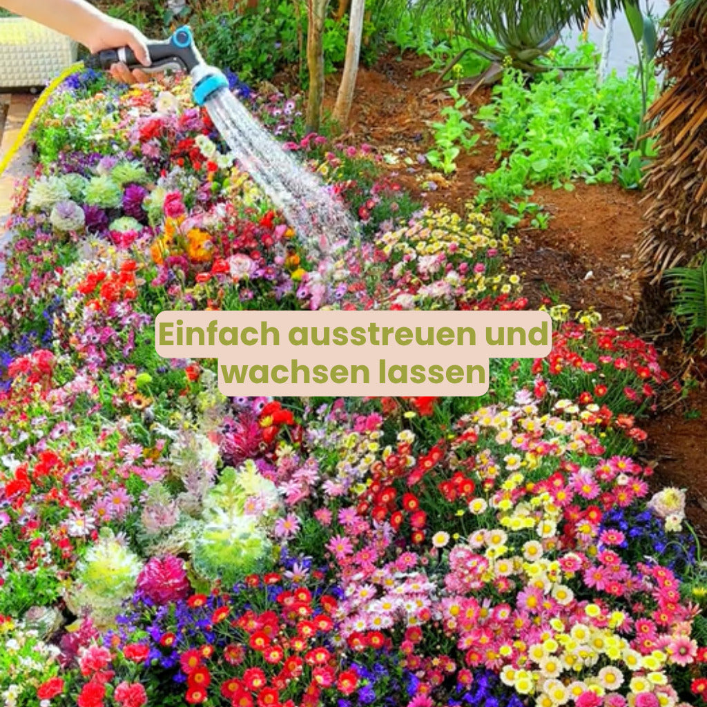 BlütenZauber™ – Samen für deinen Traumgarten