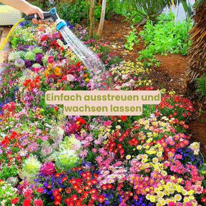 BlütenZauber™ – Samen für deinen Traumgarten