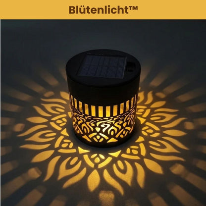 Blütenlicht™ - Verwandelt deinen Garten in florale Magie