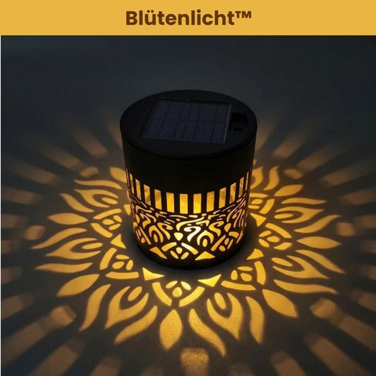 Blütenlicht™ - Verwandelt deinen Garten in florale Magie
