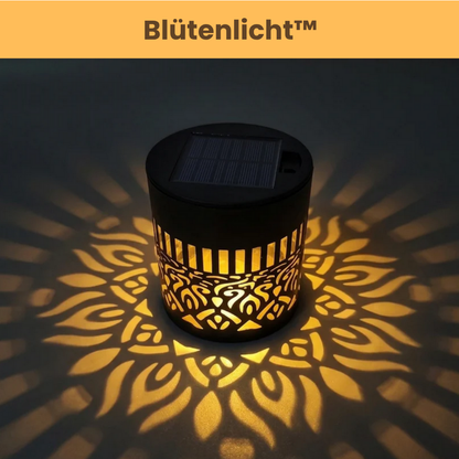 Blütenlicht™ - Verwandelt deinen Garten in florale Magie
