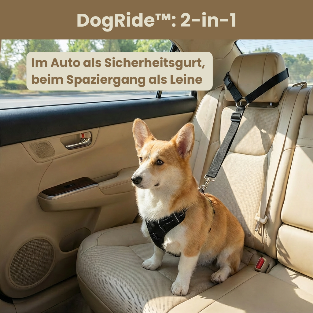 DogRide™ - Sicherheitsleine für ruhige Fahrten und entspannte Spaziergänge