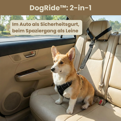 DogRide™ - Sicherheitsleine für ruhige Fahrten und entspannte Spaziergänge
