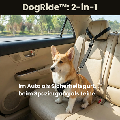 DogRide™ - Sicherheitsleine für ruhige Fahrten und entspannte Spaziergänge
