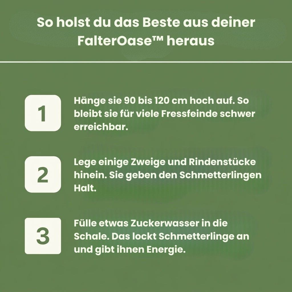FalterOase™ – Wo zarte Flügel einkehren und neue Kraft finden