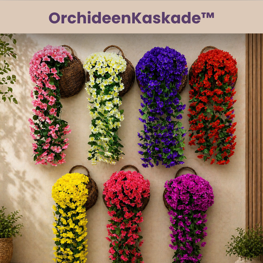 OrchideenKaskade™ - Dauerhafte Blütenpracht ohne Pflege