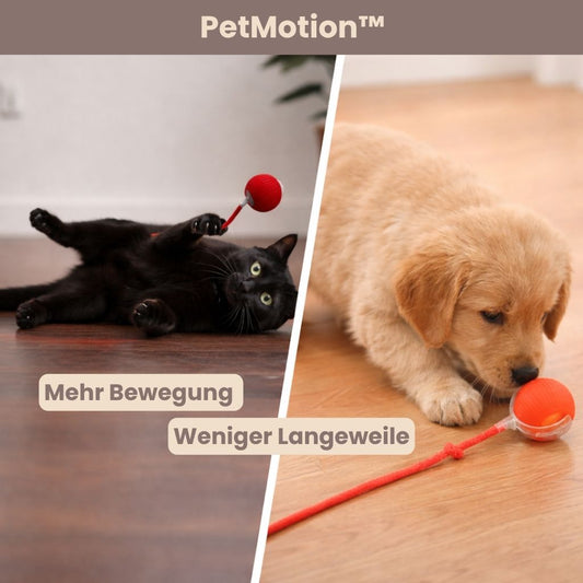 PetMotion™ - Bewegung, die begeistert