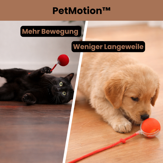 PetMotion™ - Bewegung, die begeistert
