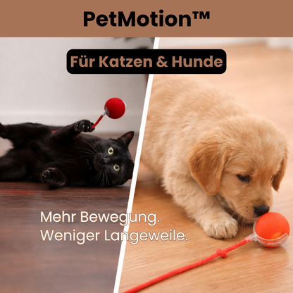 PetMotion™ - Bewegung, die begeistert