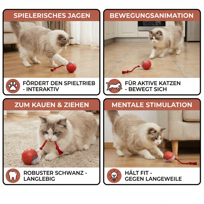 PetMotion™ - Bewegung, die begeistert