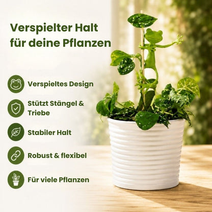 PflanzenFrosch™ – Der kleine Helfer für deine Pflanzen (2er-Set)
