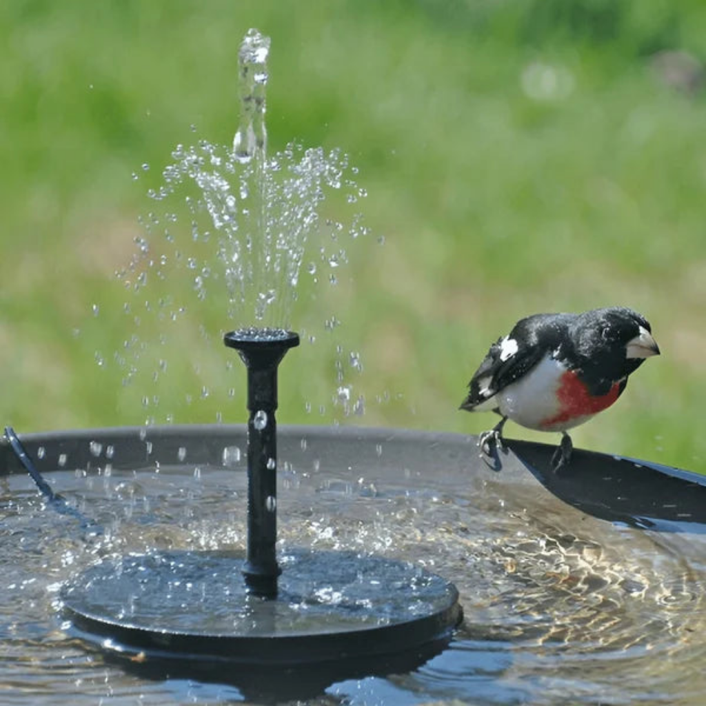 SolarFontäne™ – Verleiht deinem Garten ein lebendiges Wasserspiel