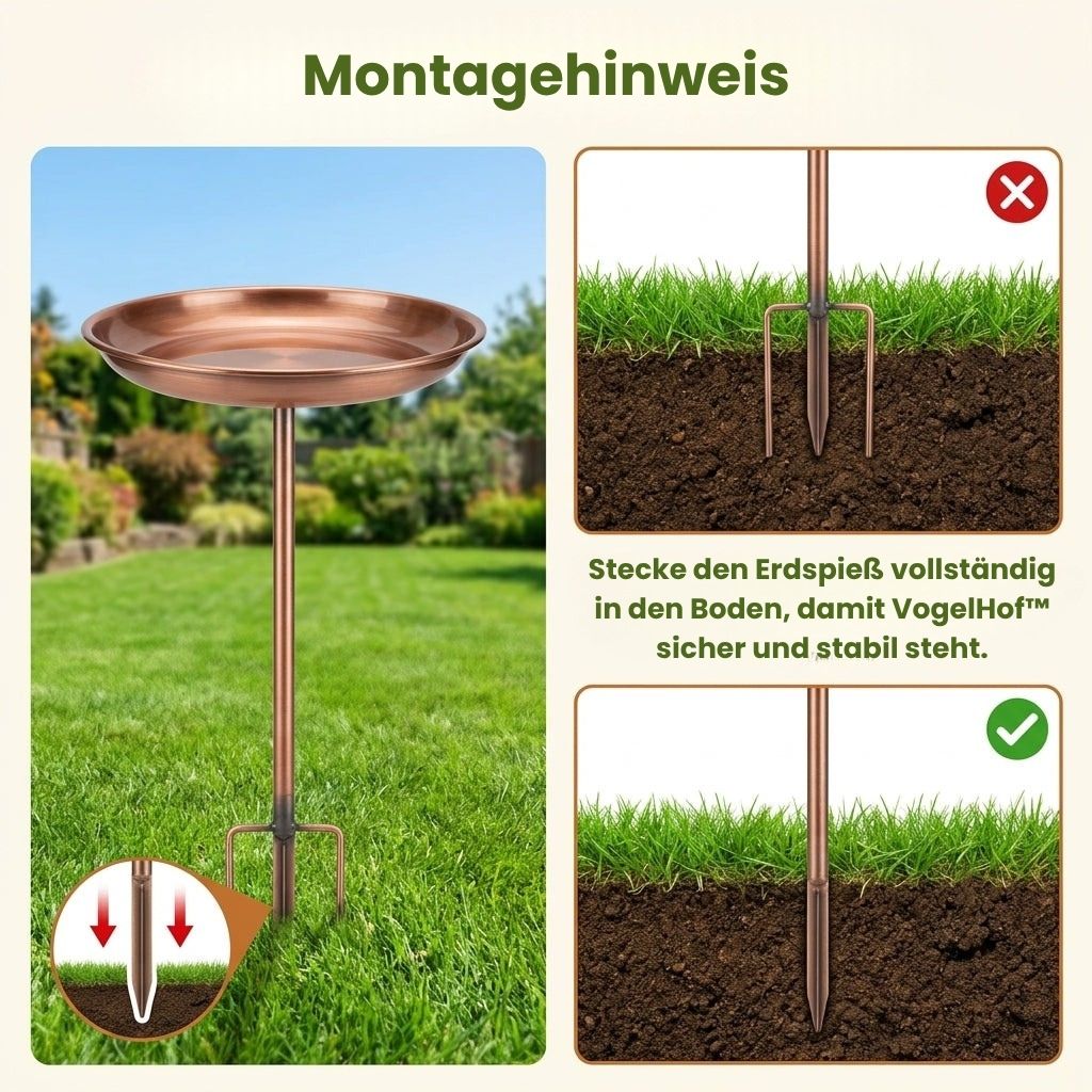 VogelHof™ – Futterplatz und Vogelbad im warmen Retro-Look