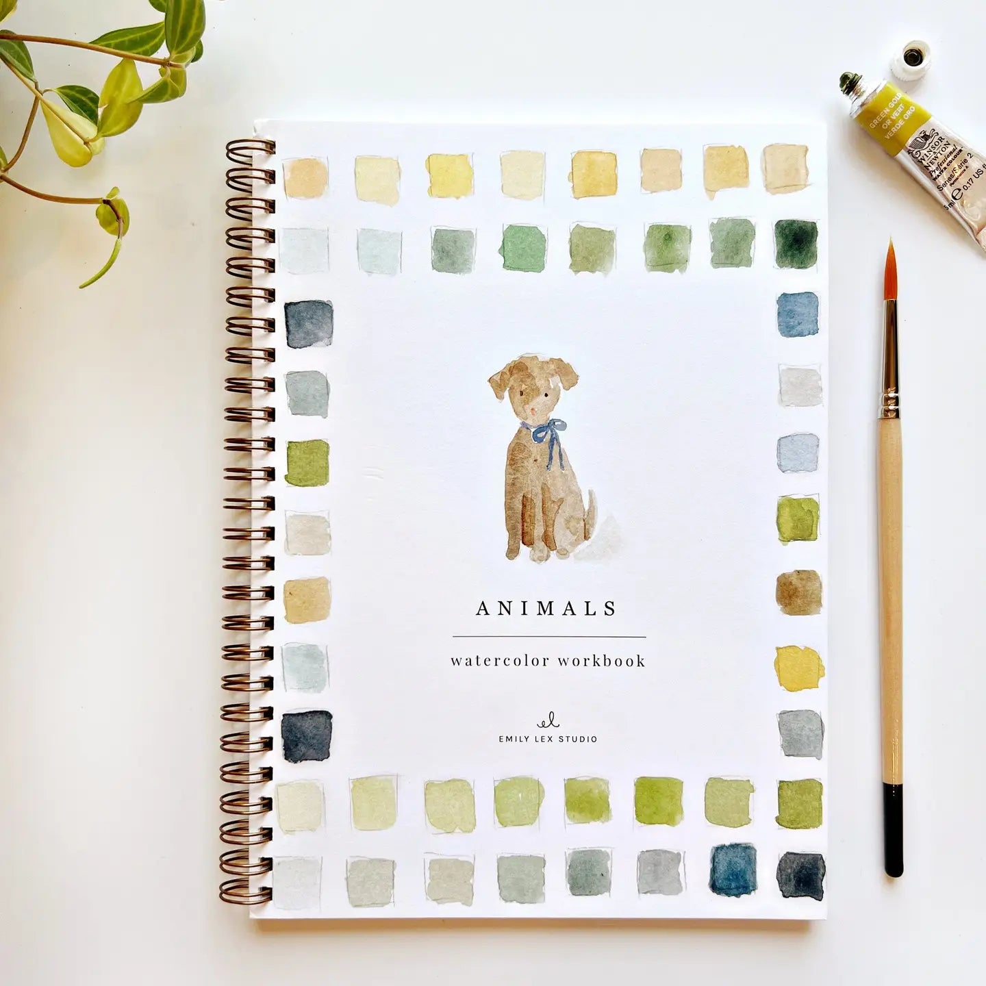 AquarellStudio™ - Deine Reise in die Aquarellkunst